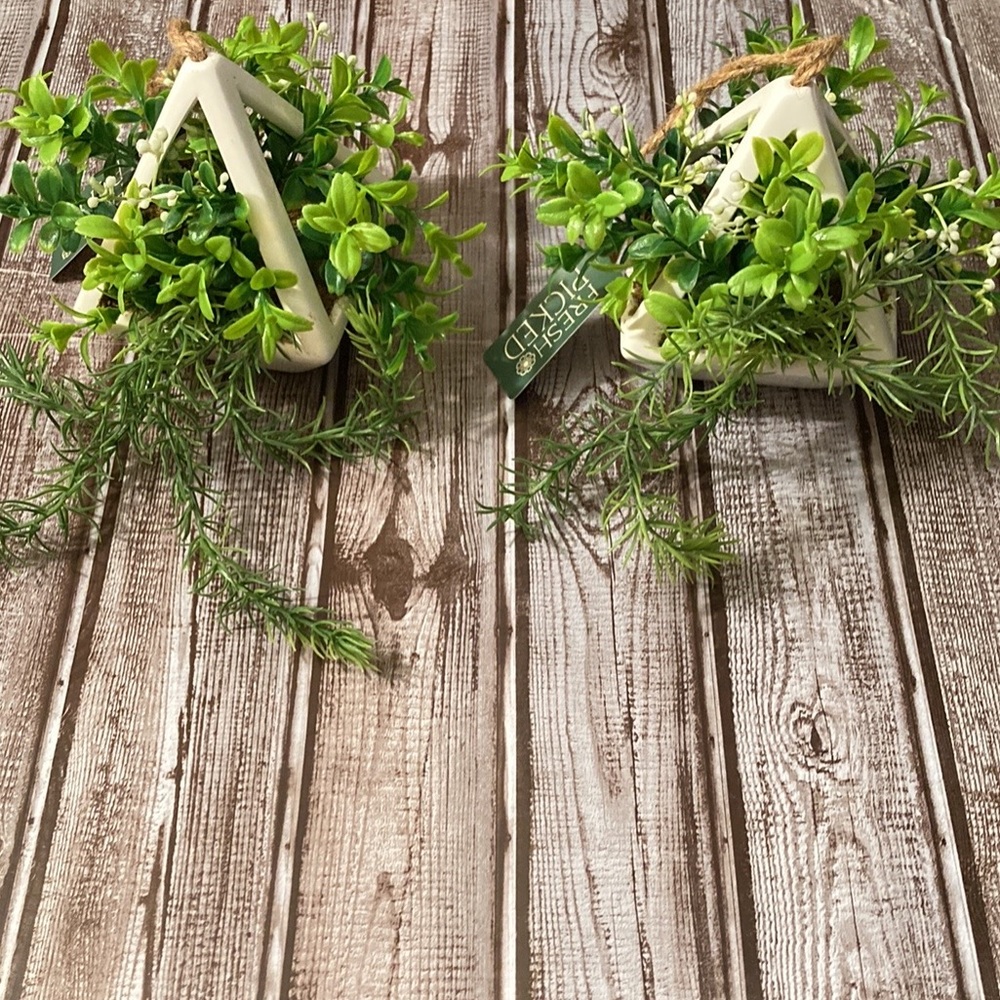 Hanging Plant Arrangement (Set of 2) - Picture 5 of 5